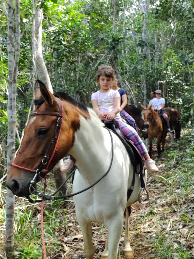 Pousada Rancho Semani Itacare Bagian luar foto