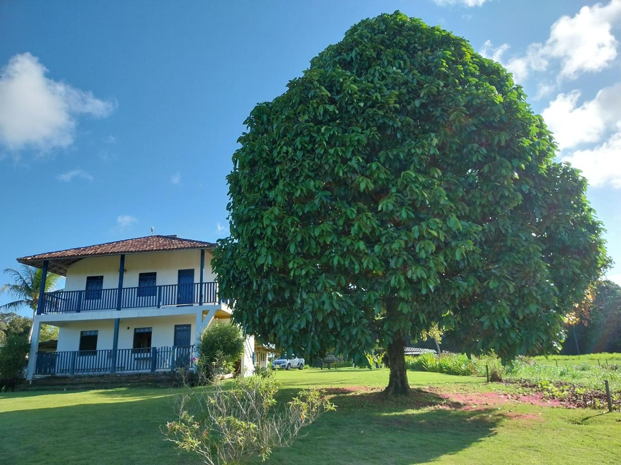 Pousada Rancho Semani Itacare Bagian luar foto