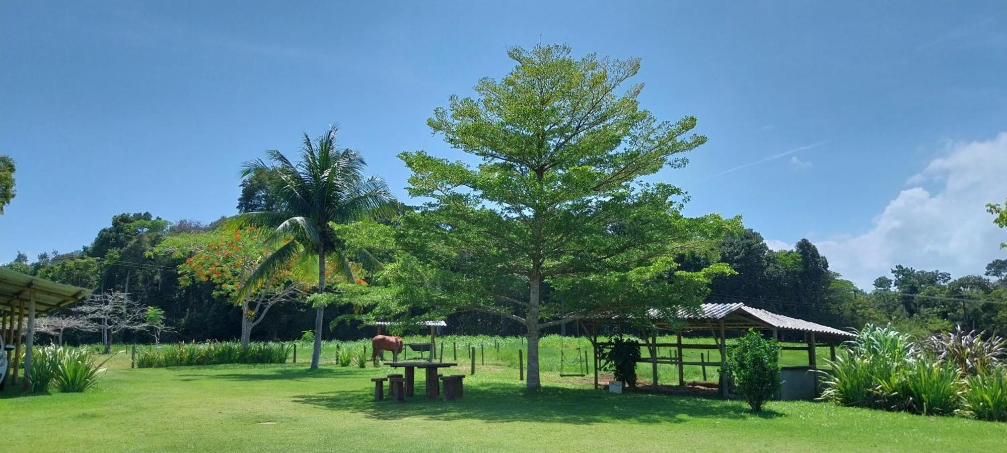 Pousada Rancho Semani Itacare Bagian luar foto