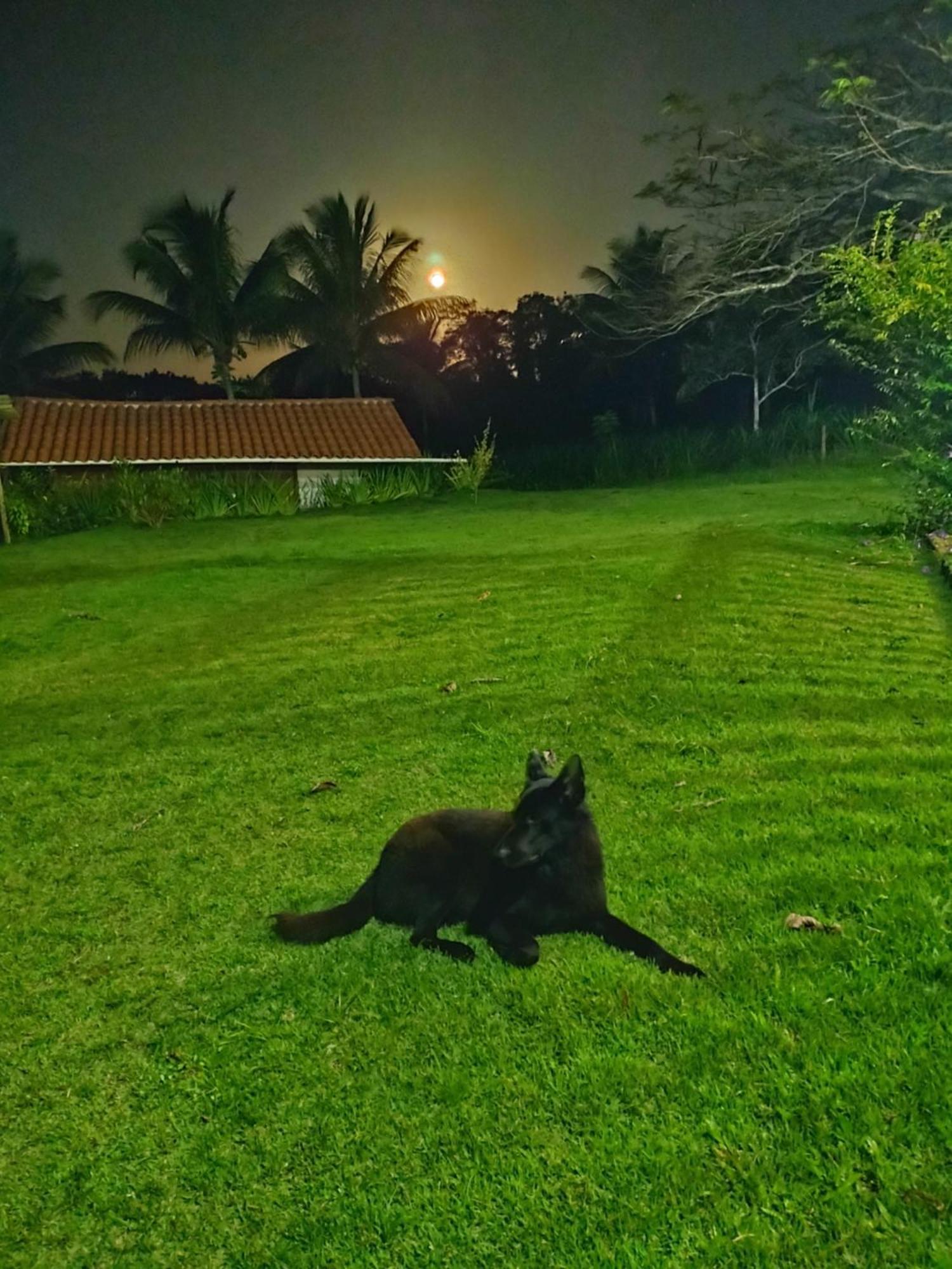 Pousada Rancho Semani Itacare Bagian luar foto