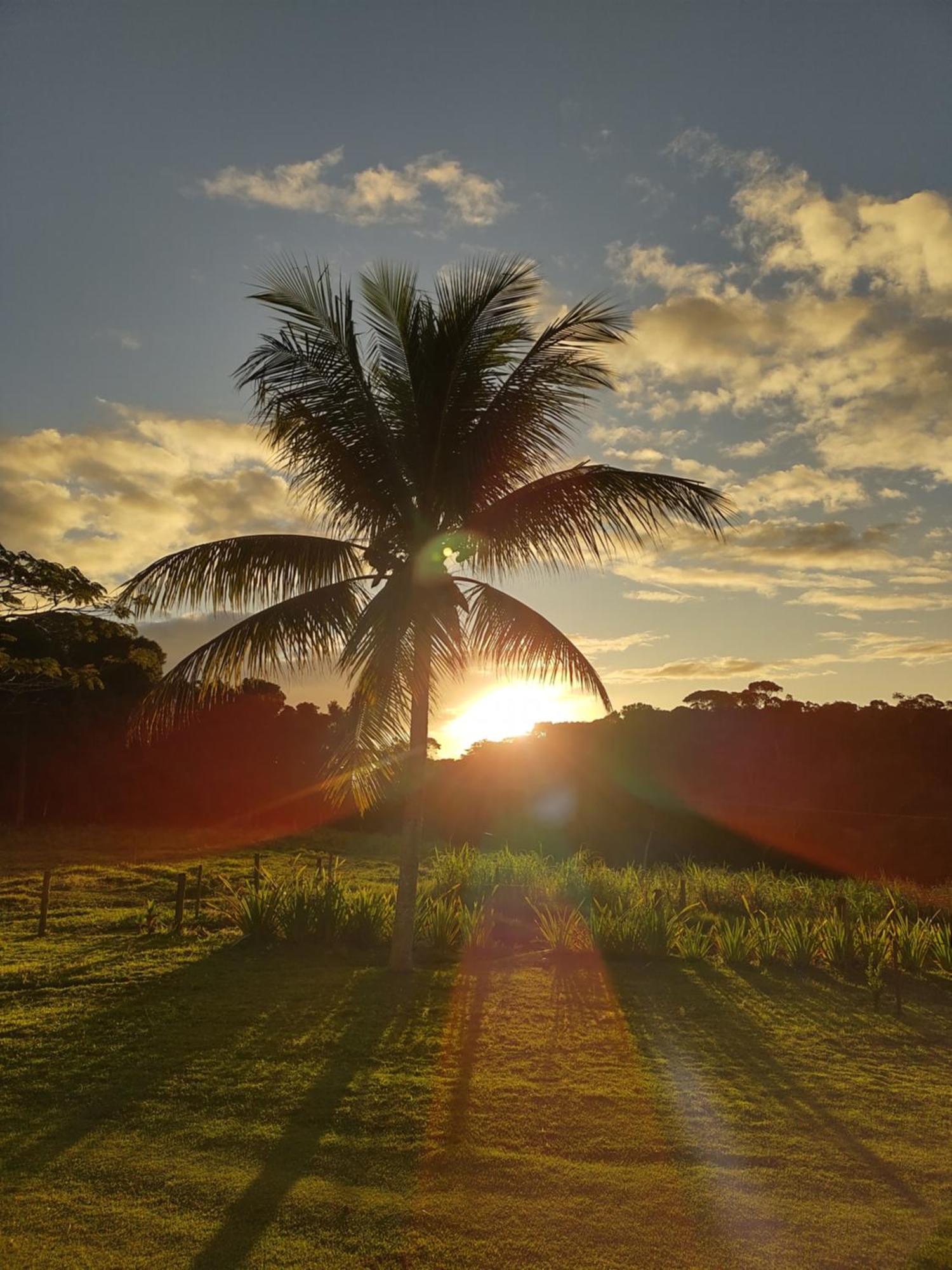 Pousada Rancho Semani Itacare Bagian luar foto